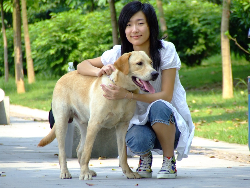 风中的绿叶的第一张照片--开封相亲服务中心