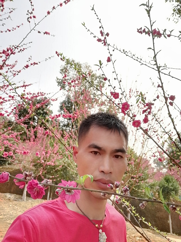 惜緣的第一张照片--开封相亲服务中心