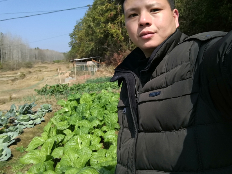 倔强的驴的第一张照片--开封相亲服务中心