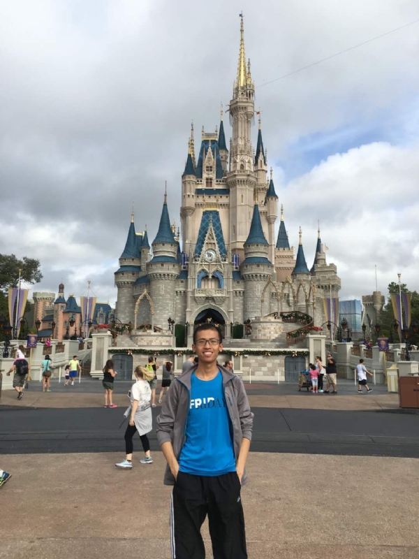 太阳花的第一张照片--开封相亲服务中心