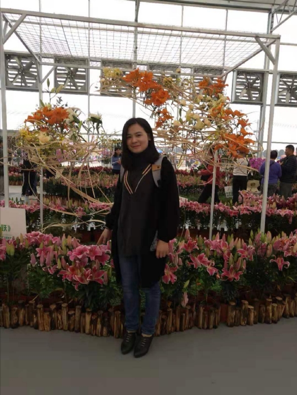 紫苏的第一张照片--开封相亲服务中心