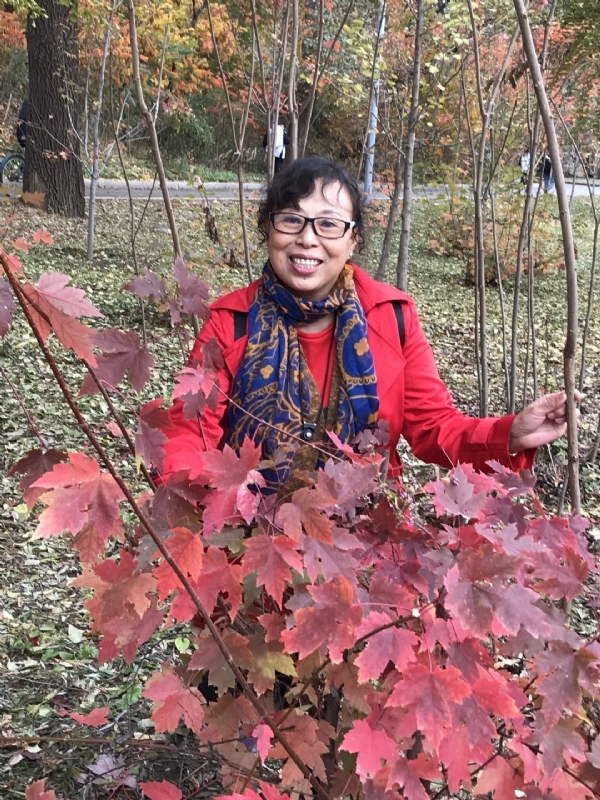 平平的第二张照片--开封相亲服务中心