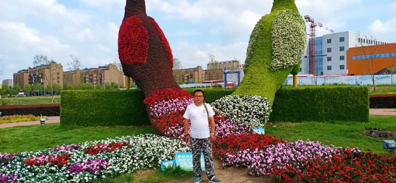 尘埃的第一张照片--开封相亲服务中心