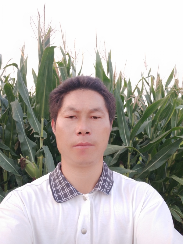 四海游龙的第一张照片--开封相亲服务中心