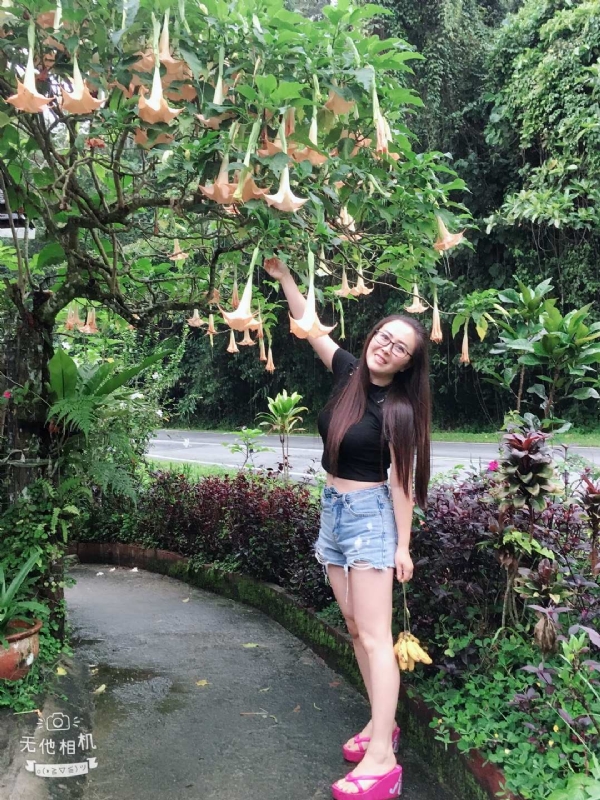 离异单身无子的第二张照片--开封相亲服务中心