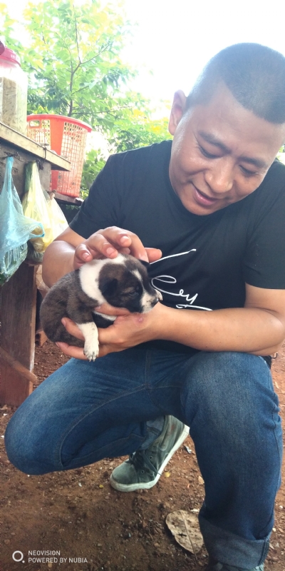 深圳相亲的第一张照片--开封相亲服务中心