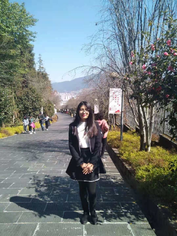 窗台上的桔梗的第一张照片--开封相亲服务中心