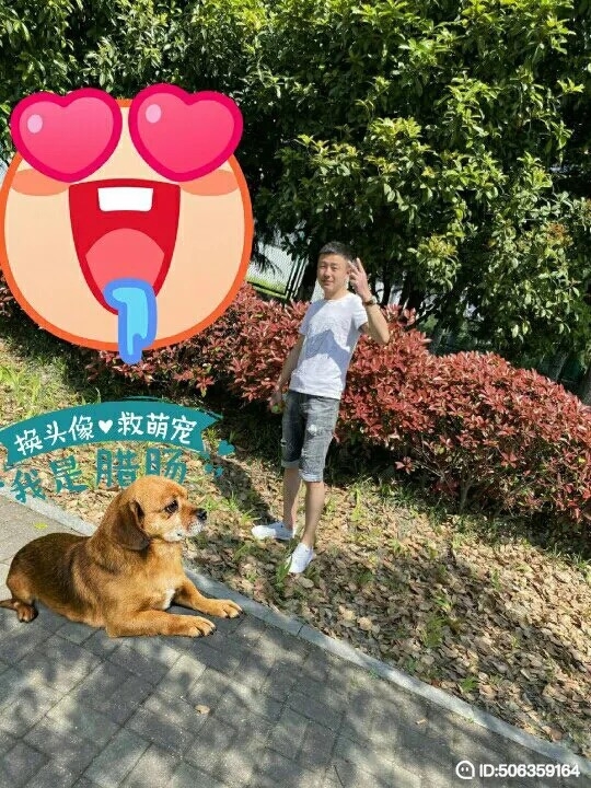 我若不坚强谁替我勇敢的第五张照片--开封相亲服务中心