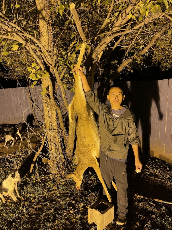 Kandy的第三张照片--开封相亲服务中心