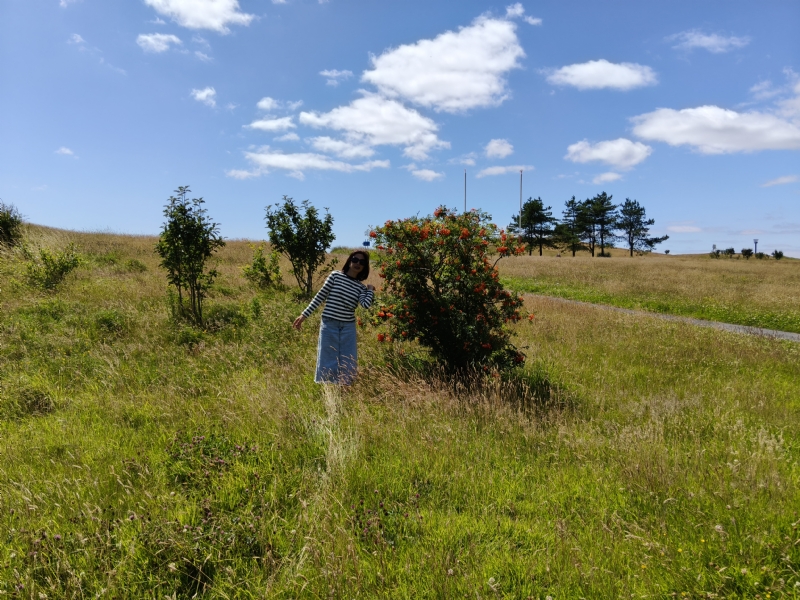 秋蝉的第一张照片--开封相亲服务中心