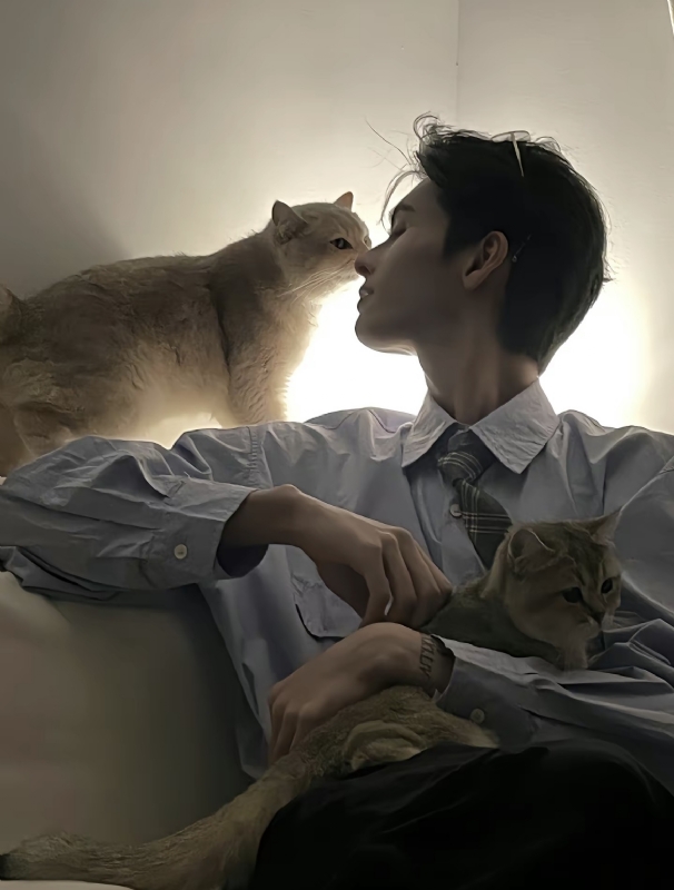 怪猫的第一张照片--开封相亲服务中心