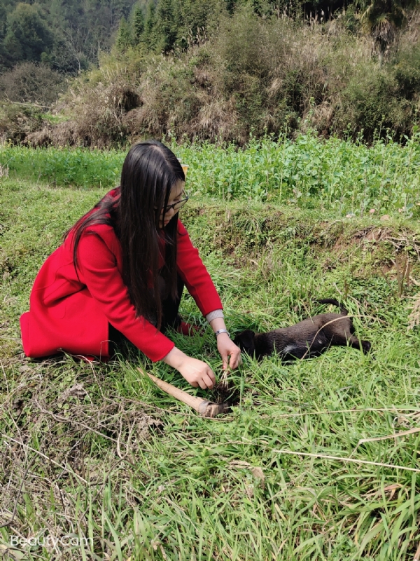 下一个春和秋的第一张照片--开封相亲服务中心