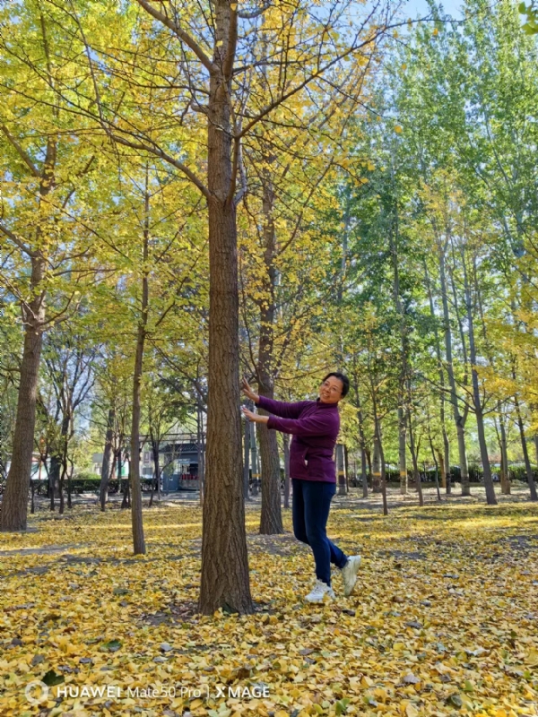 Shirley的第三张照片--开封相亲服务中心