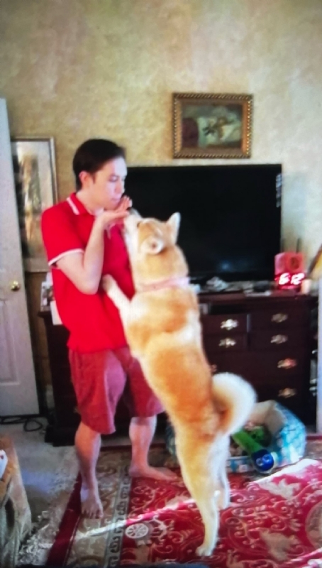 Leluch的第一张照片--开封相亲服务中心