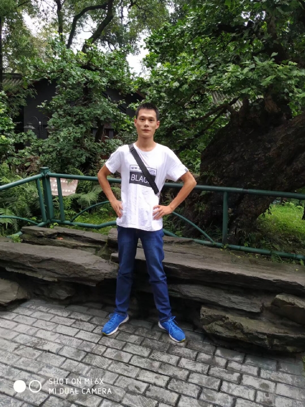 会飞的猪的第一张照片--开封相亲服务中心