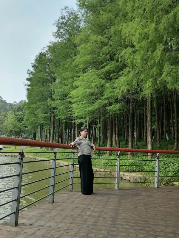 遗失的记忆的第二张照片--开封相亲服务中心