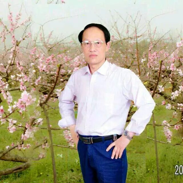 枫叶的第一张照片--开封相亲服务中心