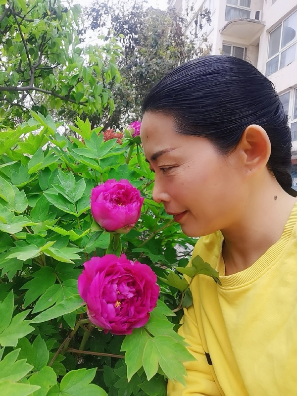 厚德载物的第一张照片--开封相亲服务中心