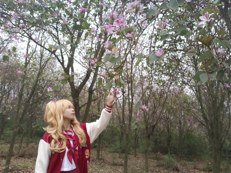 暮秋的第一张照片--开封相亲服务中心