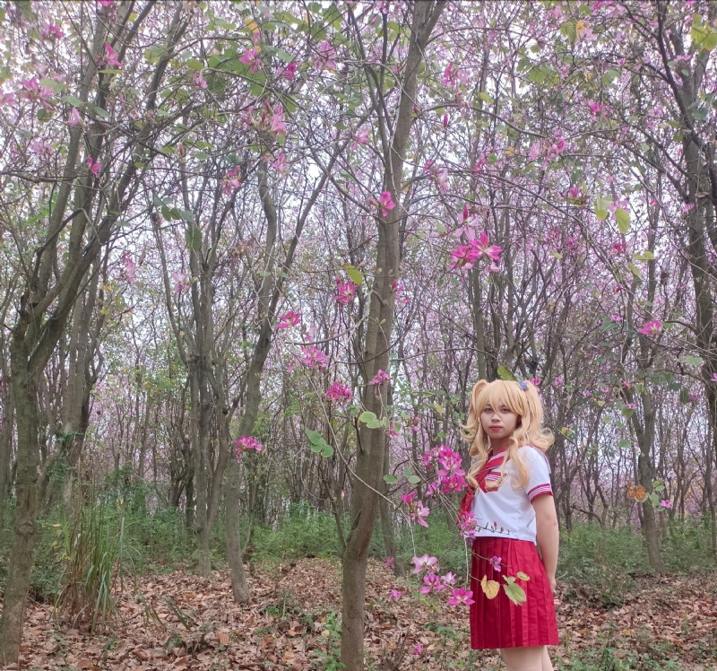 暮秋的第四张照片--开封相亲服务中心