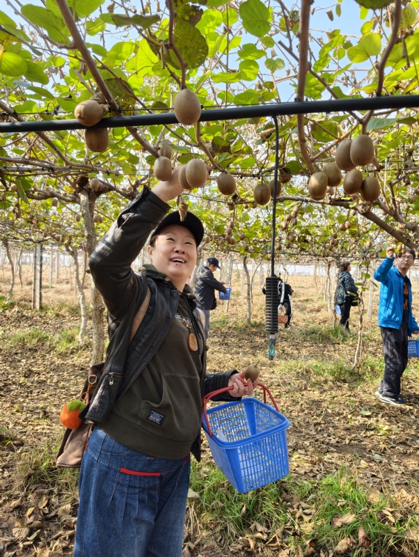 夜莺的第三张照片--开封相亲服务中心